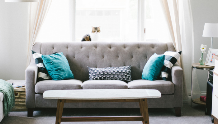 grey couch with blue pillows